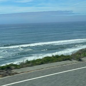 Meet your Posher, Olga